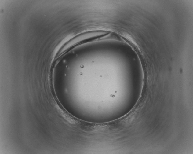 X0000074231181200609081613