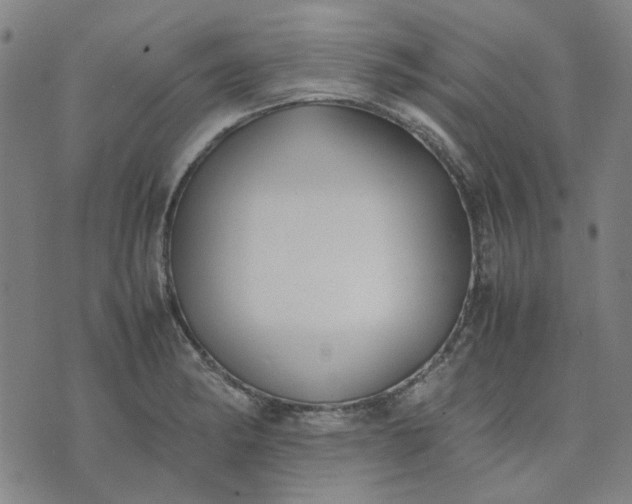 X0000074231182200609081613