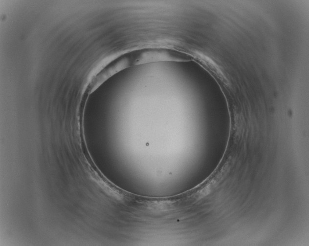 X0000074231184200609081613