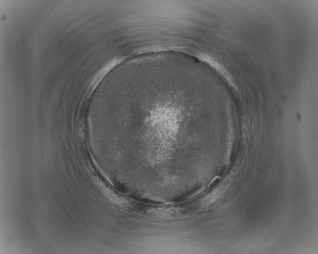 X0000074231185200609081613