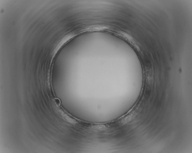 X0000074231186200609081613