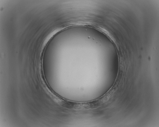 X0000074231187200609081613