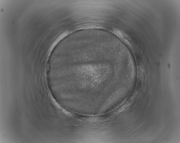 X0000074231189200609081613