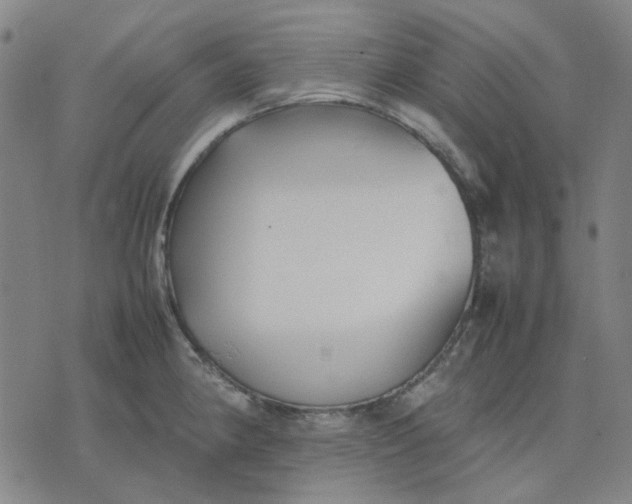 X0000074231190200609081613