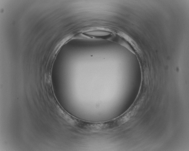 X0000074231193200609081613