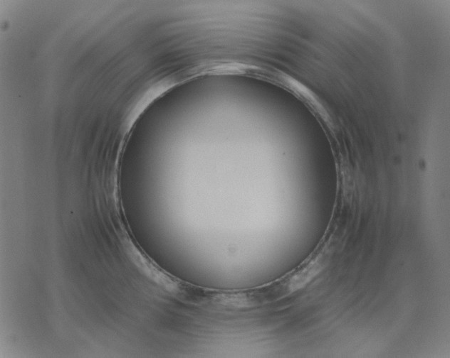 X0000074231194200609081613