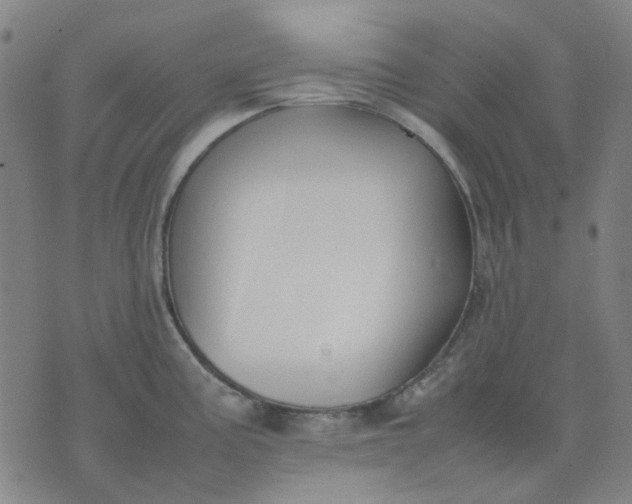 X0000074231195200609081613