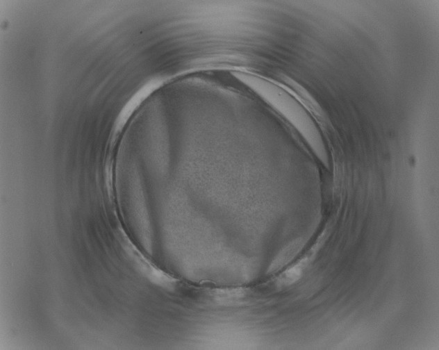 X0000074231196200609081613