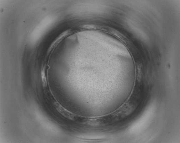 X0000074231198200609081613