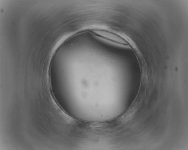 X0000074231199200609081613