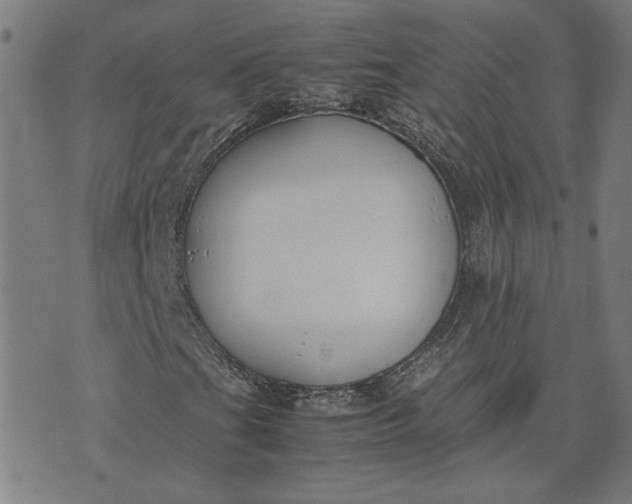 X0000074231201200609081612