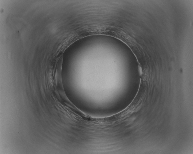 X0000074231202200609081612