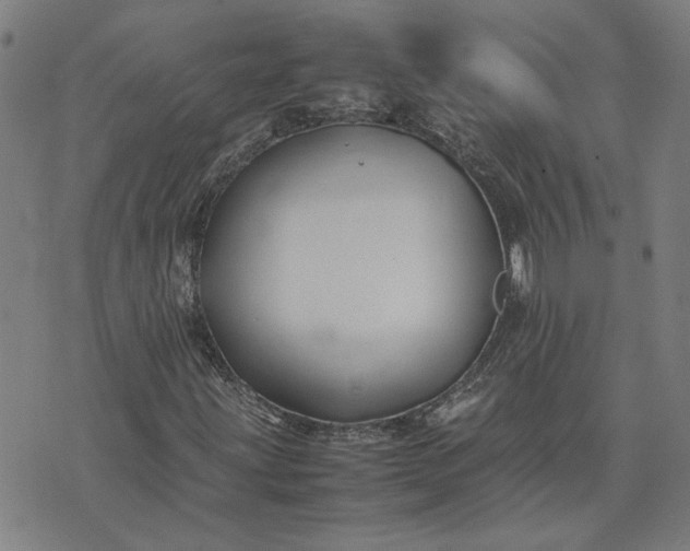 X0000074231203200609081612