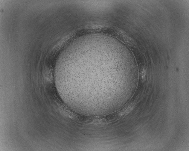 X0000074231204200609081612