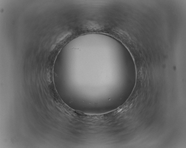 X0000074231205200609081612