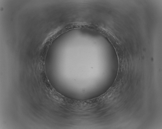 X0000074231207200609081612