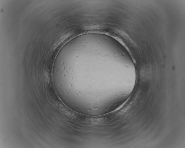 X0000074231209200609081612