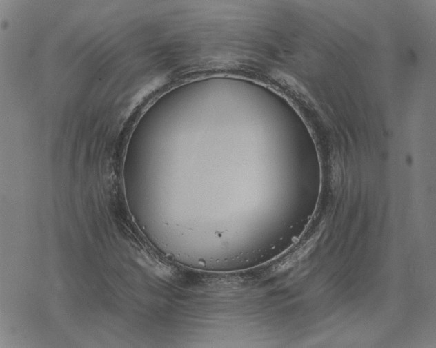 X0000074231210200609081612