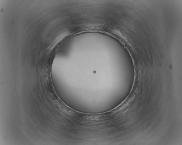 X0000074231211200609081612