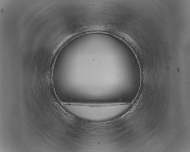 X0000074231212200609081612