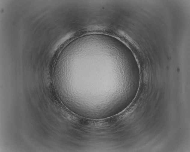 X0000074231213200609081612