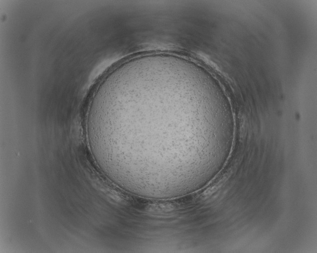 X0000074231215200609081612