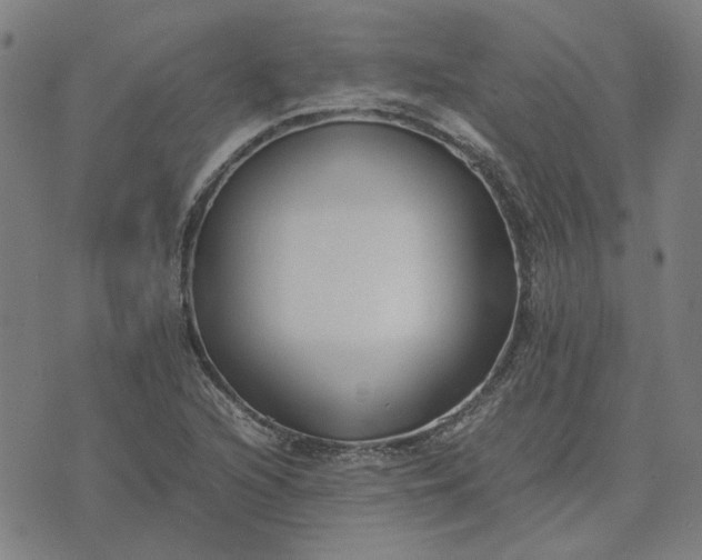 X0000074231216200609081612