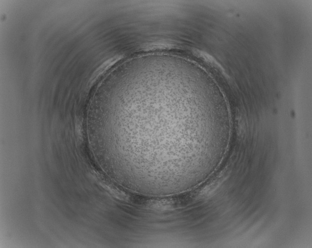 X0000074231217200609081612