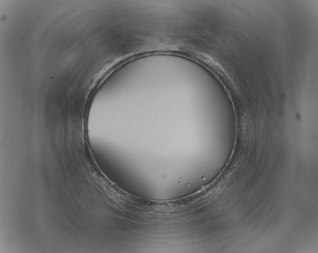 X0000074231220200609081612