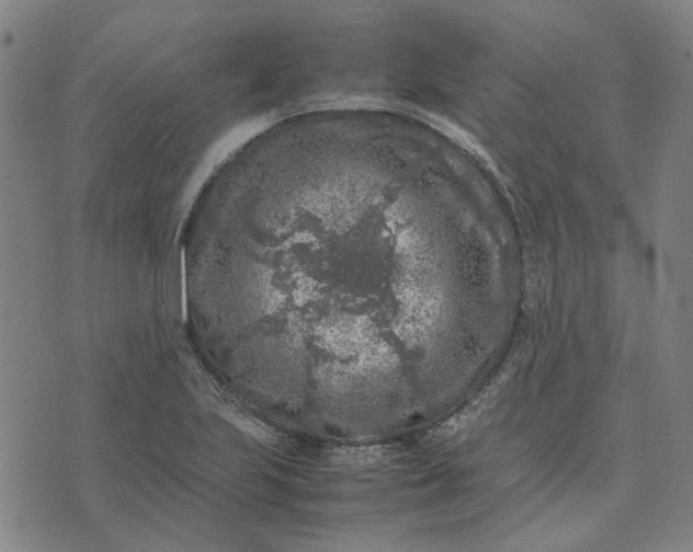 X0000074231223200609081612