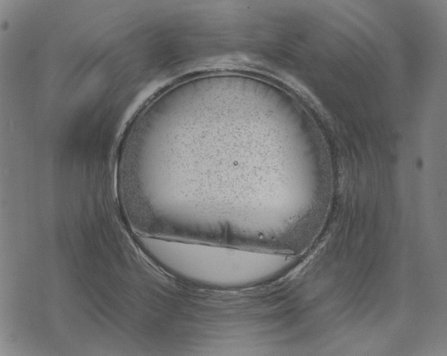 X0000074231224200609081613