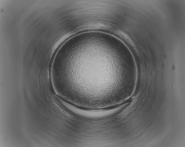 X0000074231226200609081613