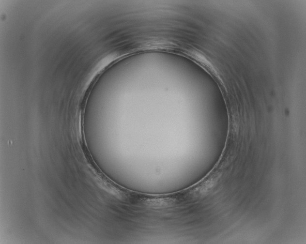 X0000074231227200609081613