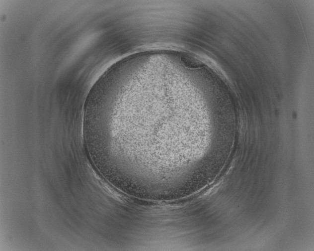 X0000074231228200609081613