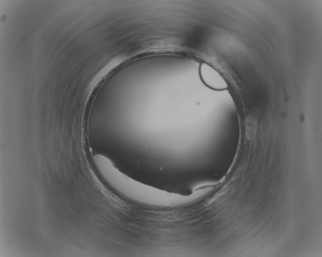 X0000074231229200609081613