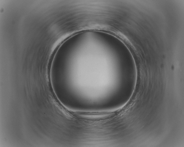 X0000074231230200609081613