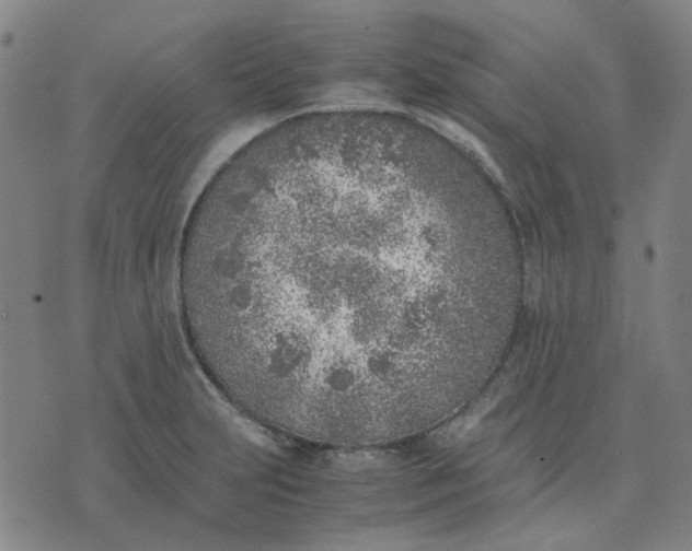 X0000074231231200609081613