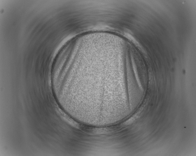 X0000074231232200609081613