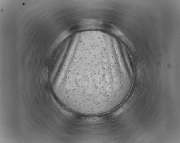 X0000074231233200609081613