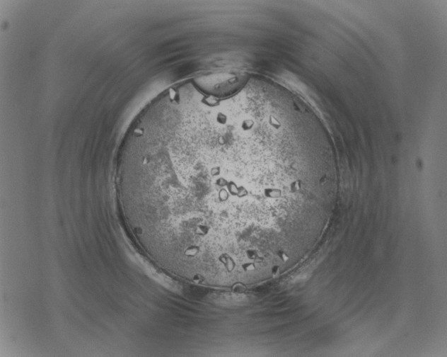 X0000074231235200609081613