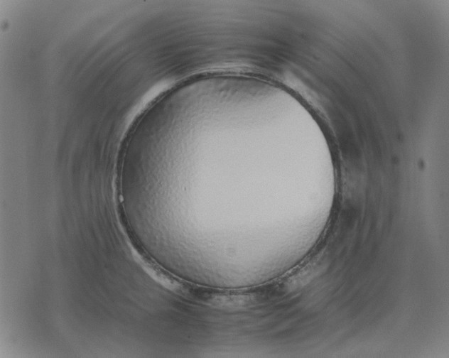 X0000074231237200609081613