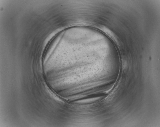 X0000074231238200609081613