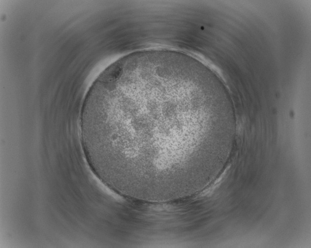 X0000074231239200609081613