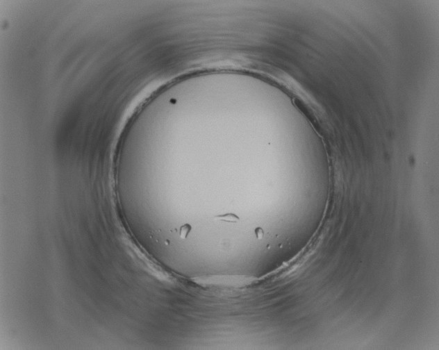 X0000074231240200609081613