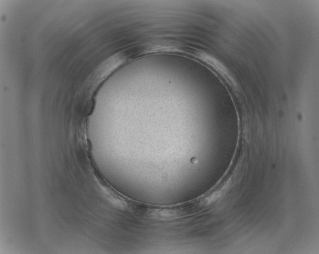 X0000074231241200609081613