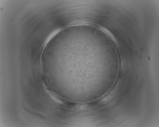 X0000074231242200609081613