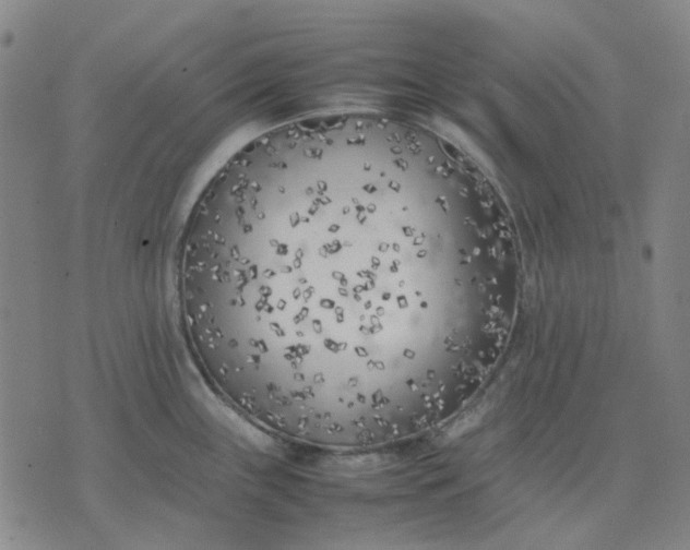 X0000074231243200609081613