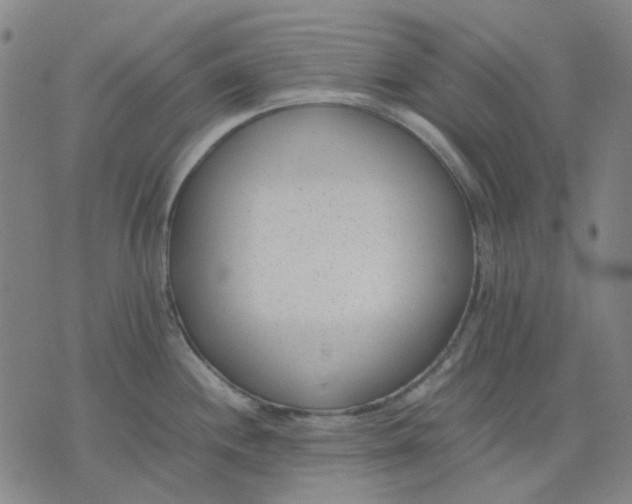 X0000074231244200609081613