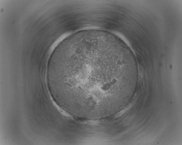 X0000074231245200609081613