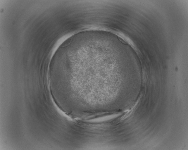 X0000074231247200609081613